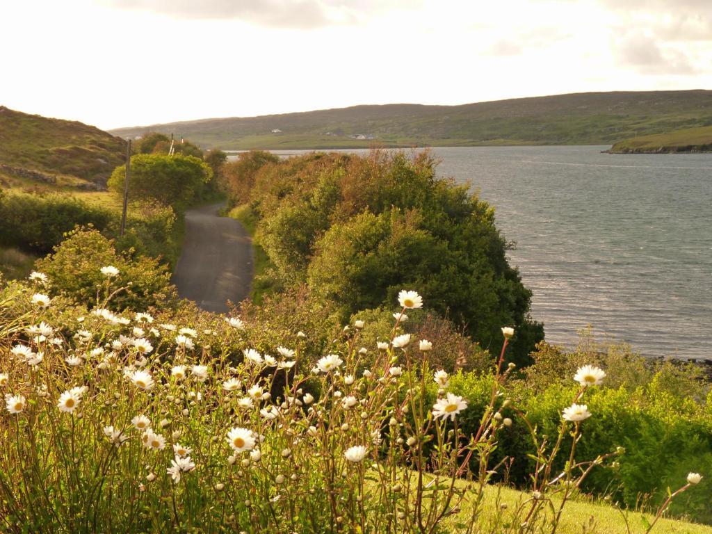 Waterfront Rest B&B Clifden Εξωτερικό φωτογραφία